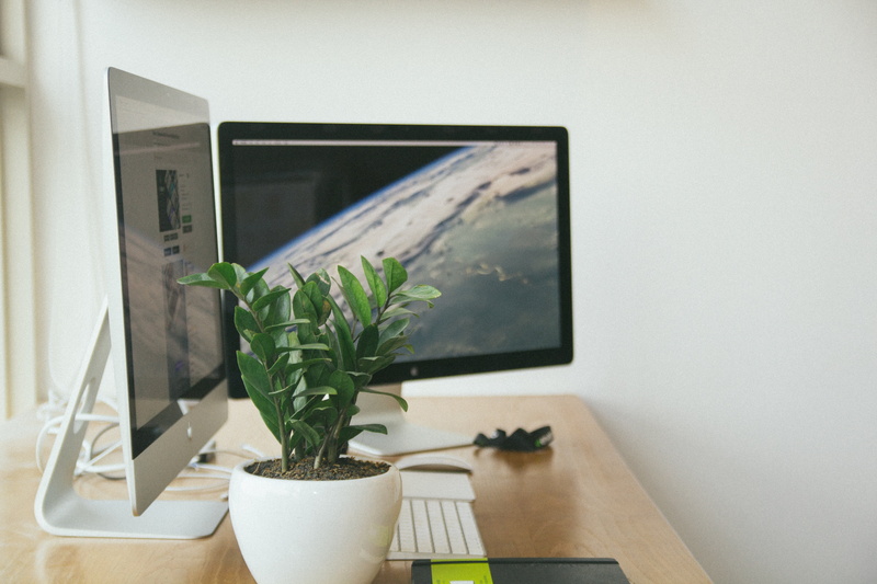 potted plant, workspace, homeoffice, television set, domestic life, working, houseplant, growth, day, table, computer, nature, mac, no people, screen, home showcase interior