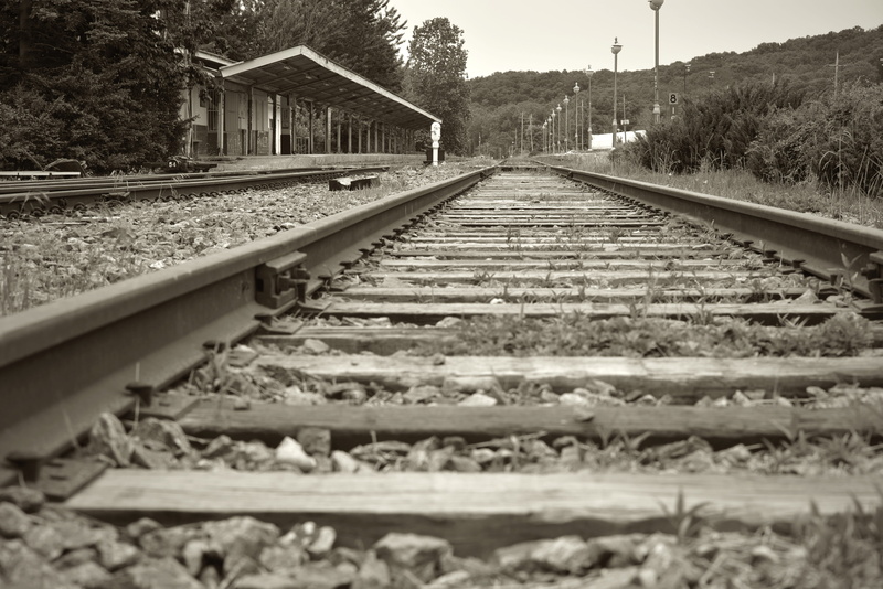 the way forward, cat, nature, for the room, vanishing point, railway, item, lung area, outdoors, gravel, station, black and white, the ticket office, wicket