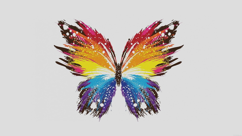 wings, digital art, butterfly, 1080P, paint splatter, white background, colorful, simple, simple background, minimalism