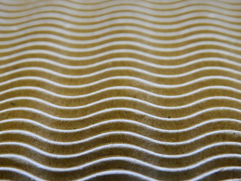 full frame, nature, water, outdoors, rippled, textured, protection, concentric, striped, geometric shape, backgrounds, natural pattern, texture, high angle view