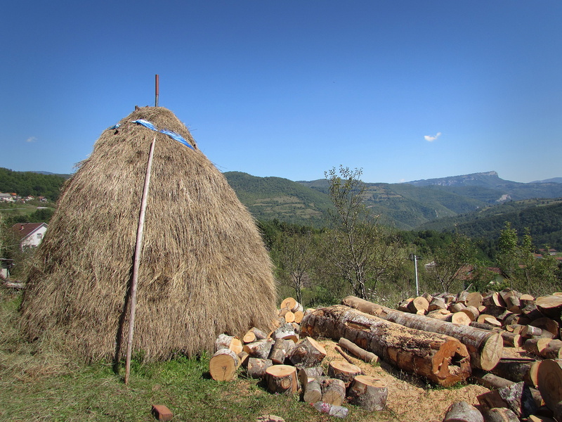 tree, no people, wood, land, rama, stack, 4K, day, clear sky, beauty in nature, timber, plant, log, environment, wood - material, bosnia and herzegovina
