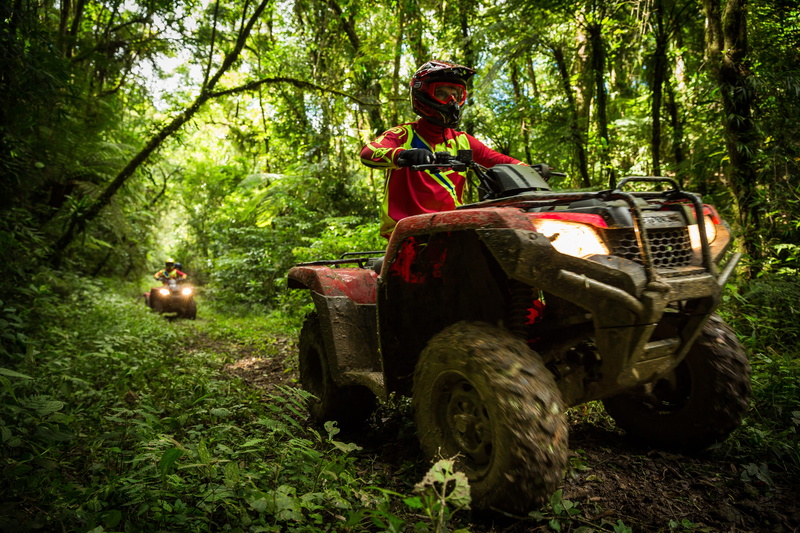 forest, honda, land vehicle, travel, leisure activity, asw, one person, plant, woodland, quadriciclo, real people, riding, passeio em curitiba, 5K, aventura