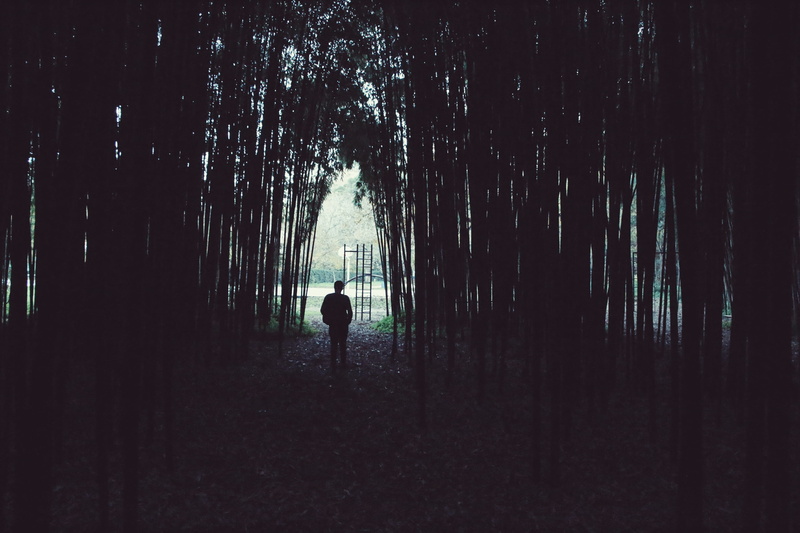 dark, full length, walking, silhouette, trees, 2K, one person, leisure activity, tree trunk, mata nacional do choupal, coimbra, standing, portugal, real people