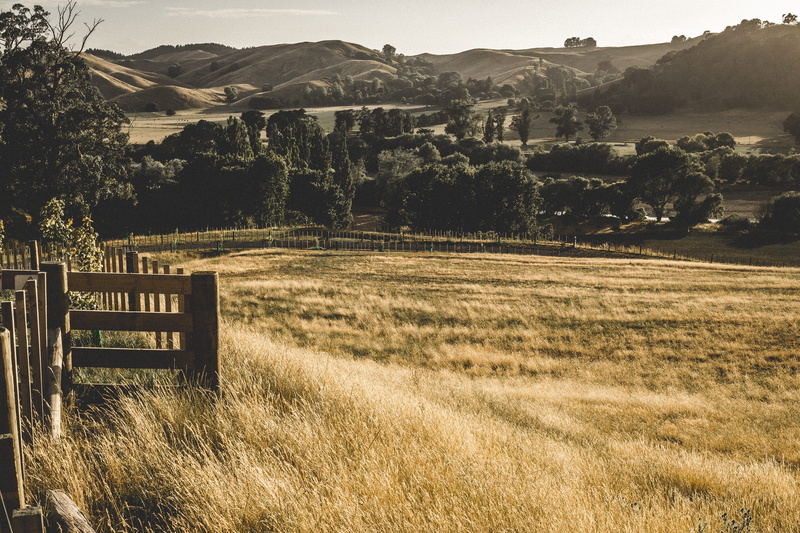5K, non-urban scene, tranquil scene, landscape, rural scene, mountain, grass, green, sunshine, te mata peak, land, field, environment, countryside, tree