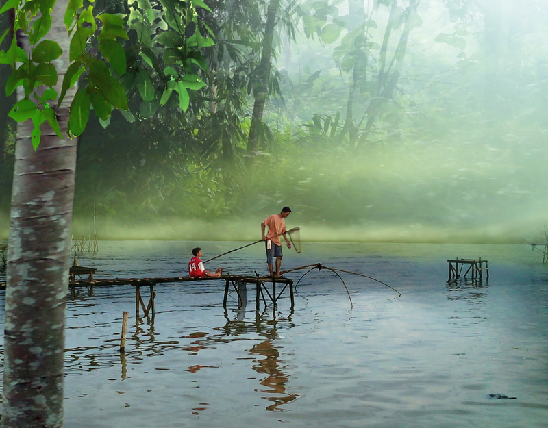 people, man, rod, water, outdoors, leaf, fisherman, tree, holding, two people, day, fishing, occupation, dock, 4K, real people, plant, waterfront, scenics - nature