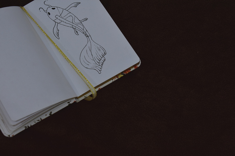 pencil drawing, table, drawing - art product, activity, writing instrument, no people, pencil, still life, 5K, paper, book bindings, book, fish, document