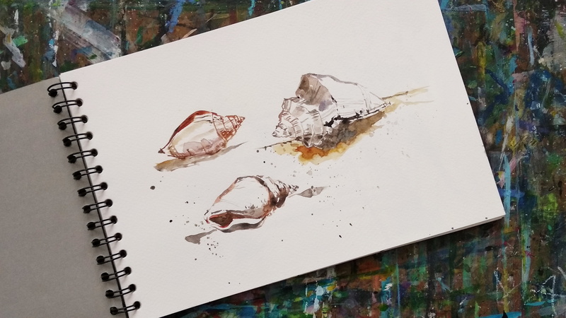 4K, close-up, high angle view, spiral notebook, watercolor, brush, sketchbook, directly above, still life, paint, art, sea shells, education, indoors