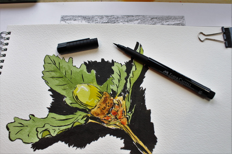 science, draw, indoors, creative, no people, leaf, art and craft, acorn, high angle view, publication, 4K, workplace, foliage, close-up, plant part, artwork