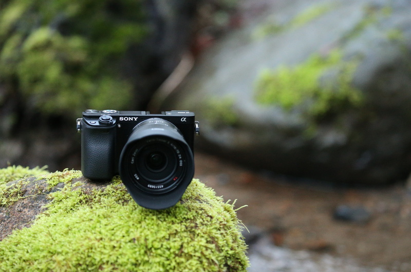 photography, camera, leather, rocks, stream, vegetation, Wi-Fi, Sony a6000, Sony Alpha a6000, 5K, technology, high-tech, nature, digital camera