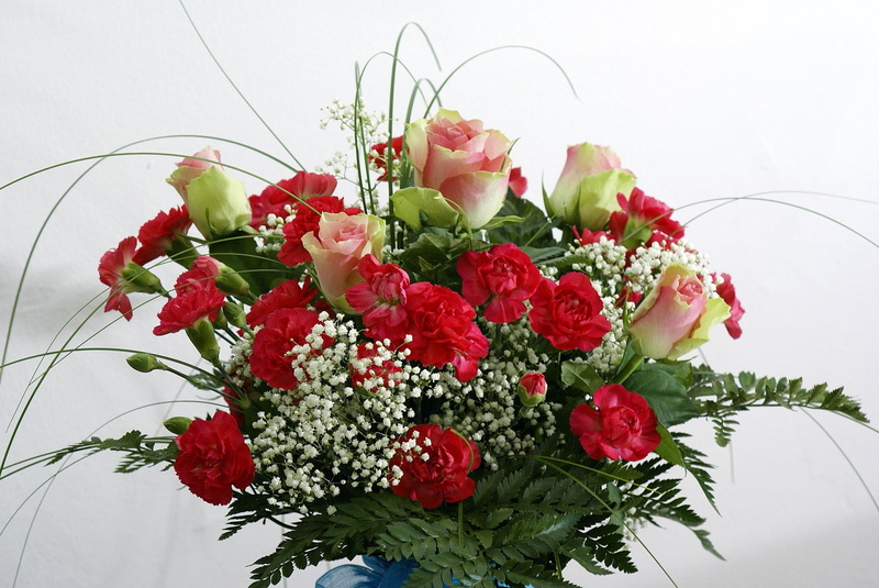 roses, nature, freshness, beauty In Nature, vase, day, elegance, high angle view, summer, rose, berry fruit, valentines Day - Holiday, petal, cut Flowers