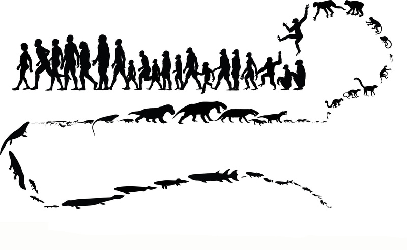 clear sky, illustration, white background, western script, monkey, large group of people, communication, silhouette, adult, evolution, cut out, studio shot
