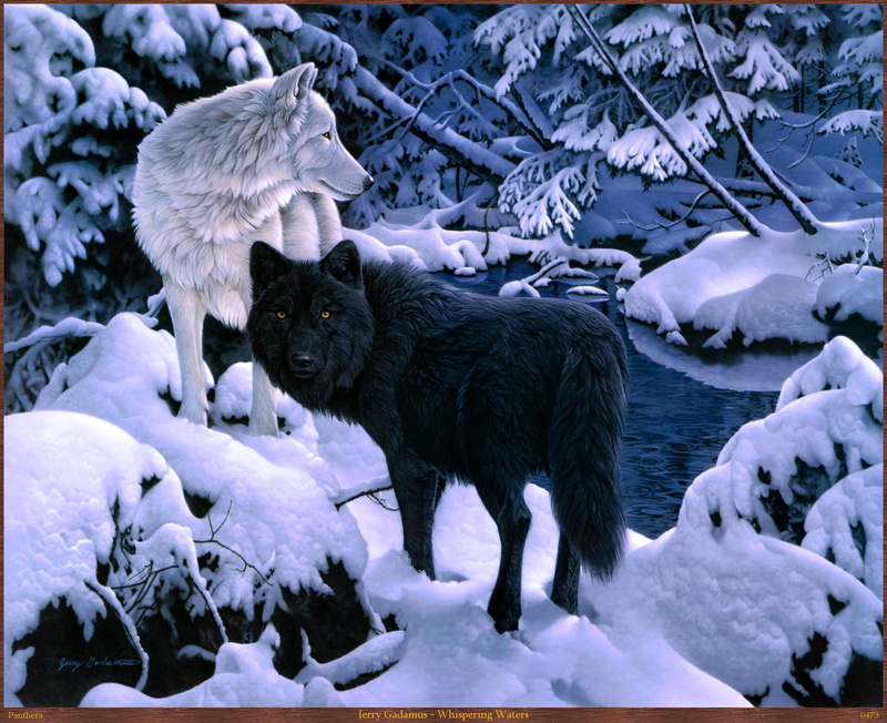 wolves, painting, jerry gadamus, jerry, snow, whispering, black, two, animals, 1080P, wolf, winter, waters, gadamus, nature, white