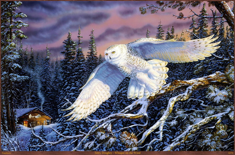 whisper, white, animals, 1080P, snow, wind