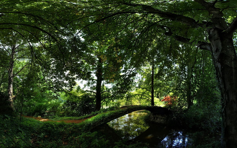 leaved, water, green, park, forest, bridge, summer, nature, 3d and abstract, trees, 1080P, reflection