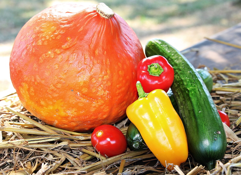 thanksgiving, autumn, green, mood, red, pumpkin, organic, wellbeing, healthy eating, tasty, ripe, red pumpkin, bell, paprika, outdoors, food, close-up