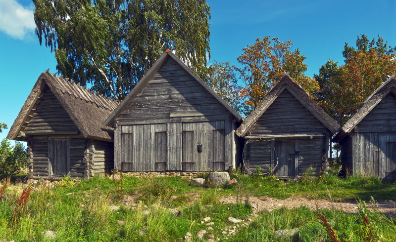 estonia, 5K, growth, built structure, day, architecture, landscape, baltic states, nature, sky, outdoors, worth a visit, house, historically, wood - material