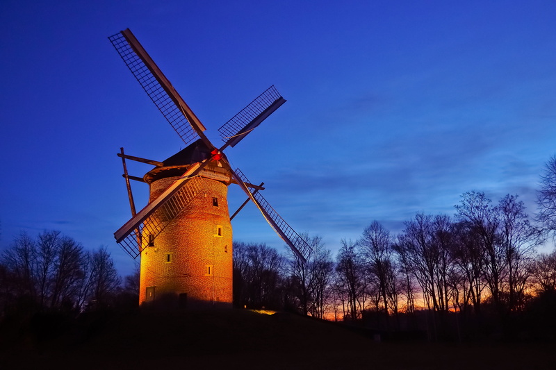 land, tree, outdoors, sunset, historically, wind power, mill, mill wing, turbine, krefeld, windmill, plant, architecture, alternative energy, landmark