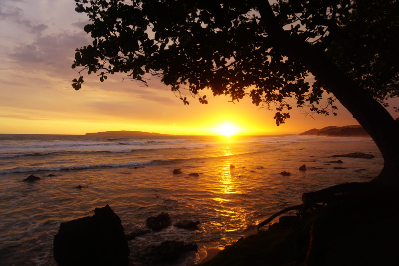 pangandaran, silhouette, orange color, outdoors, beach, west java, plant, 5K, landscape, land, nature, sea, tranquil scene, tranquility, tree, indonesia