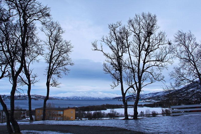 tranquility, beauty in nature, travel, house, 2K, romantic, snow, cathedral, breathtaking, sea, norway, visit, scenery, scandinavia, scenics - nature