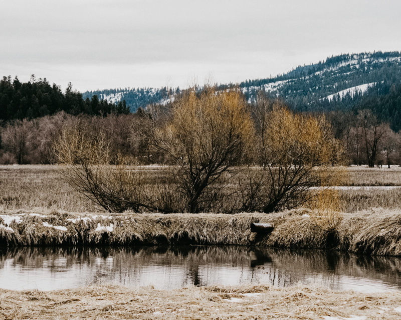 view, cold, sky, reflection, hillside, nature, no people, day, waterfront, scenics - nature, pond, tree, tranquil scene, saint maries, mountains, plant