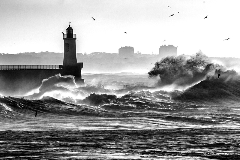 water, bird, guidance, building exterior, les sables-dolonne, lighthouse, animals in the wild, power in nature, nature, vertebrate, wave, no people, sky