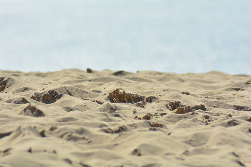 nature, selective focus, beach, dune, tranquility, land, 5K, arid climate, scenics - nature, sky, no people, beauty in nature, tranquil scene, day, sand