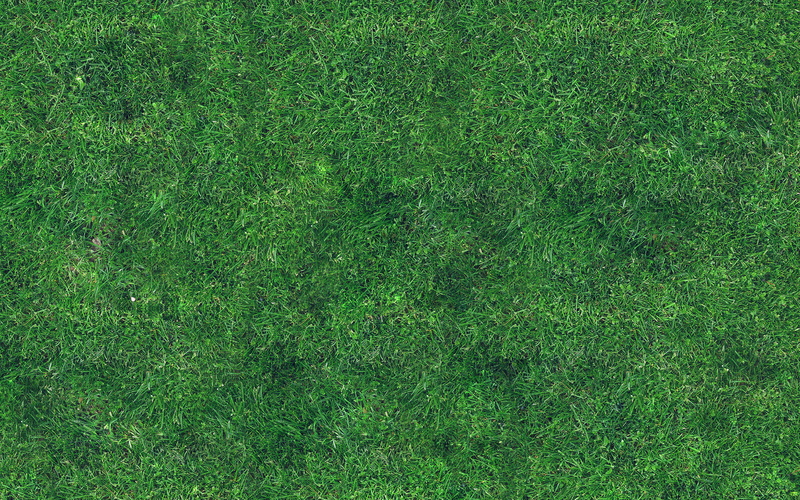 land, full frame, sport, texture, plant, american football field, field, outdoors, backgrounds, lawn, no people, grass, textured, 4K, pattern, blank, nature
