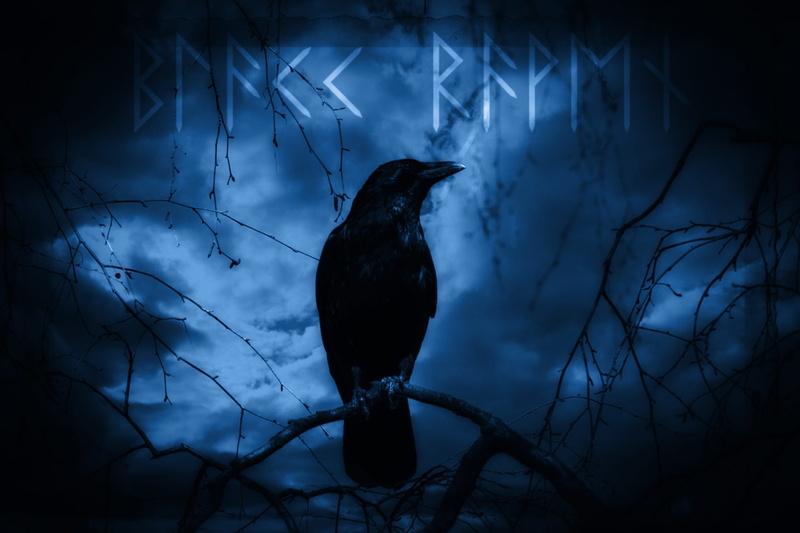 crow, dark, plant, vertebrate, digital art, no people, perching, tree, illustration, raven, night, branch, moonlight, digital composite, raven bird, ominous
