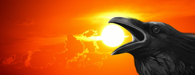 copy space, lawn bird, profile view, crow, night, beak, studio shot, bird, nature, spooky, 2K, colored background, sky, horror, red, evil, outdoors, yellow