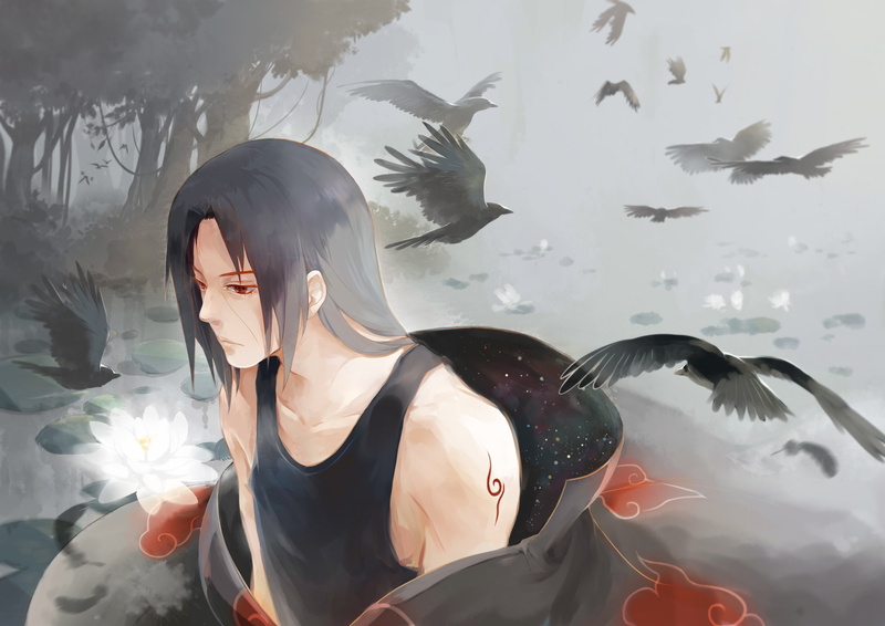 animals in the wild, crows, 2K, vertebrate, swimming, outdoors, nature, Anime, large group of animals, lifestyles, animal wildlife, one person, group of animals