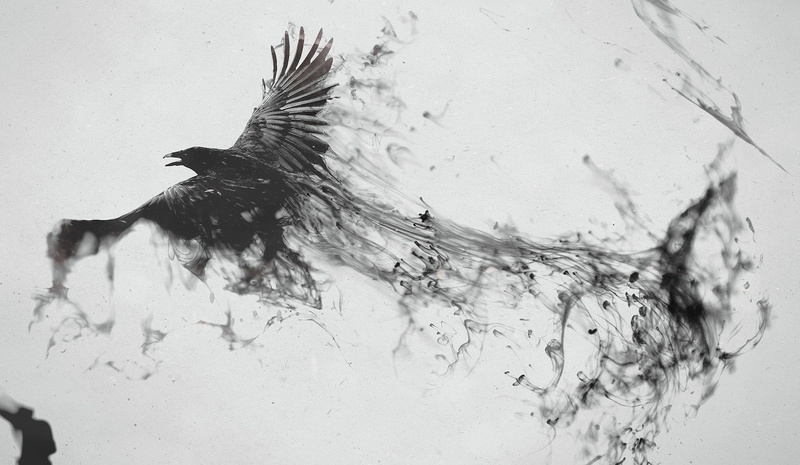 splashing, motion, gray, no people, abstract, aggression, outdoors, animal wildlife, water, 1080P, nature, bird, creativity, ravens black and white dark birds digital art