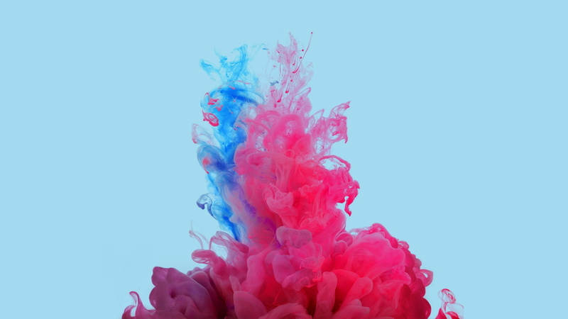 red, no people, studio shot, blue background, nature, dissolving, motion, close-up, white background, indoors, smoke late backgrounds desktop, ink, paint