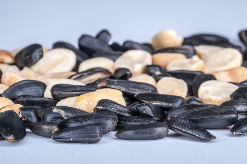 black, nutritious, seeds, macro, dieting, indoors, grain, appetizing, healthy food, sunflower, closeup, organic food, selective focus, healthy lifestyle