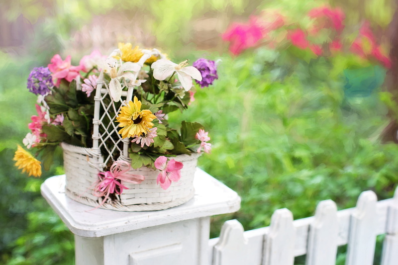 color, outdoors, flower head, flower basket, nature, growth, flower arrangement, petal, focus on foreground, flowers, floral, spring, freshness, vulnerability