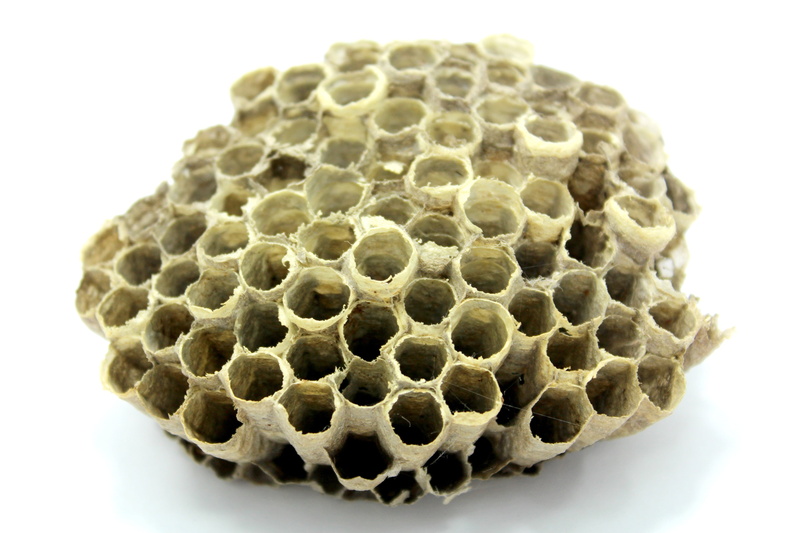 breakfast, repetition, honeycomb, pollen, geometric shape, season, beeswax, health, no people, close-up, medicine, animal themes, people, drones, brown