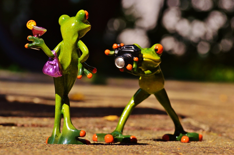funny, figurine, art and craft, human representation, ceramic, multi colored, no people, outdoors, plant, flower, camera, model, figurines, 4K, animal