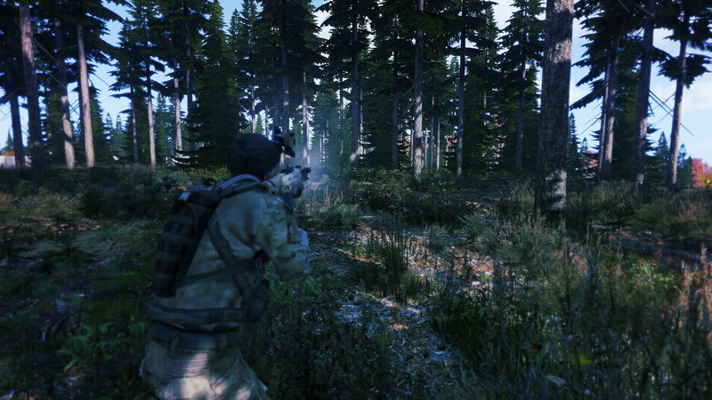 1080P, beauty in nature, three quarter length, real people, men, video games, Arma 3, woodland, lifestyles, tree trunk, trail, tree, outdoors, land, trunk