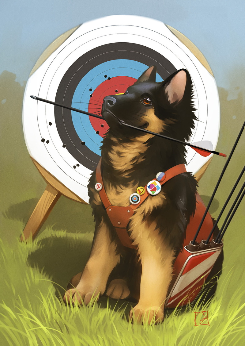 German Shepherd, dog, 720P, arrows, Alexandra GaudiBuendia Khitrova, archer, targets, animals, grass