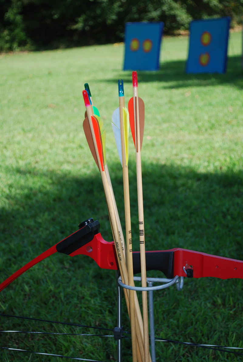 flag, absence, nature, bow, day, grass, red, close-up, wood - material, green color, growth, no people, plant, sunlight, sport, game, land, target, arrow