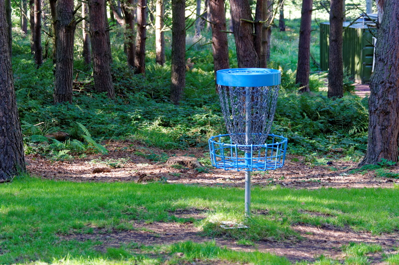 non-urban scene, green color, tranquility, tranquil scene, trunk, target, tree, disc golf, aim, forest, sporting, plant, game, day, frisbee, beauty in nature