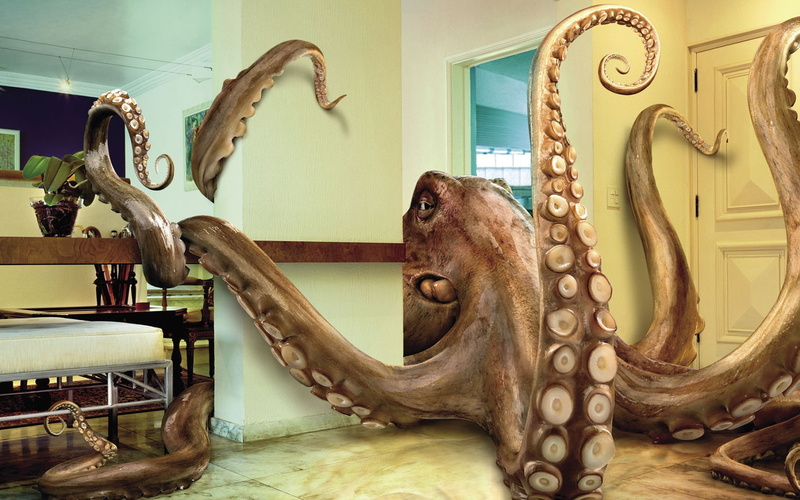 octopus, illustration, 1080P