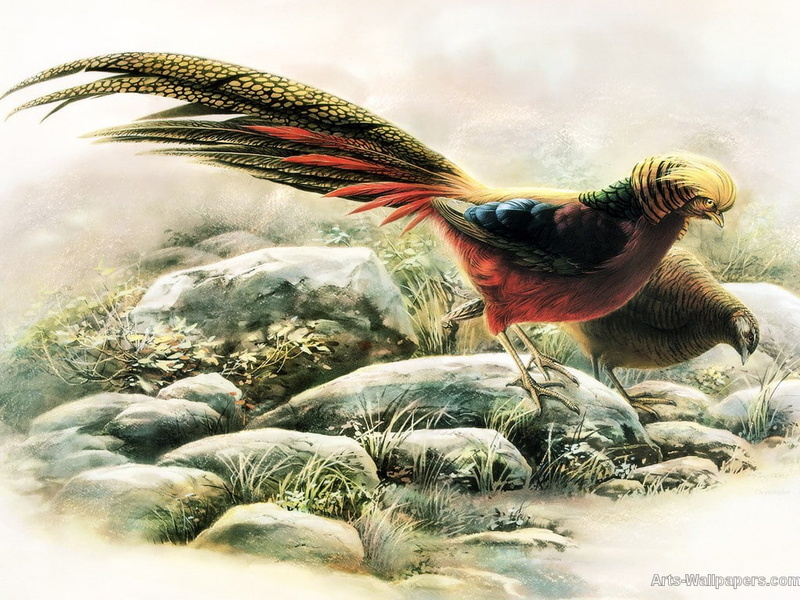 Chinese, 480P, animals, painting, birds, Bird, art, hd