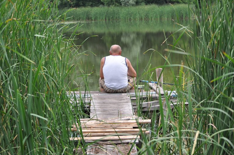fisherman, russian, tambov, river, day, freshwater, vacation, lake, adult, men, green color, hobby, plant, fish, 4K, lifestyles, real people, one person