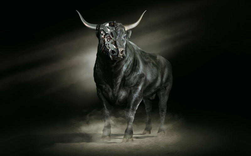 one Animal, Bull, herbivorous, metal, standing, looking at camera, nature, cow, power, robot, horned, bull - Animal, studio shot, indoors, domestic animals
