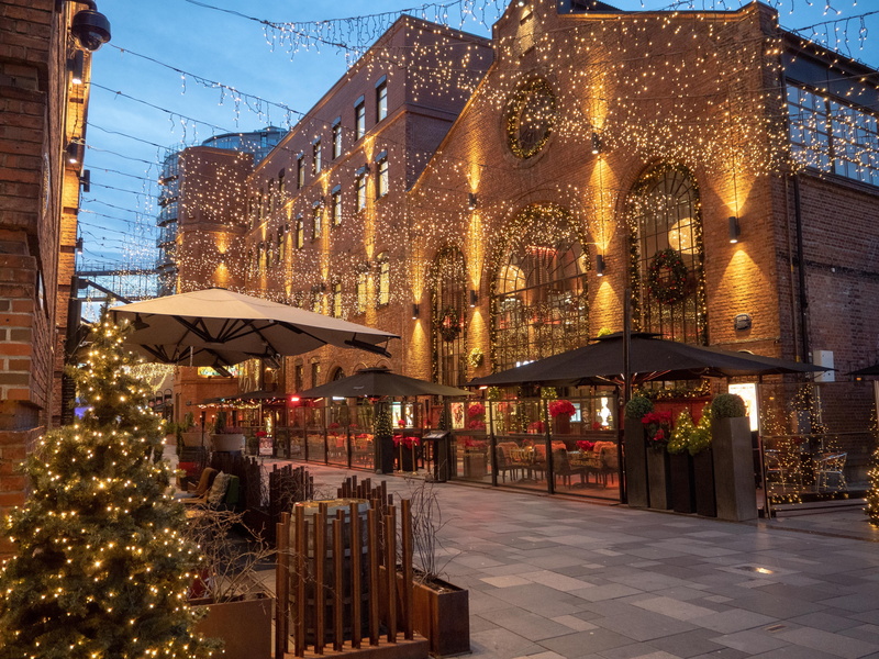 plant, deco, christmas decoration, building, built structure, city, lighting equipment, christmas lights, christmas tree, christmas, oslo, illuminated