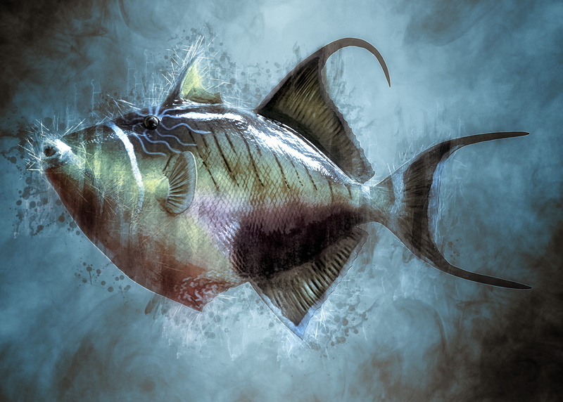 wild, studio shot, snorkeling, sea life, animals in the wild, digital manipulation, diving, marine, aquarium, fish, aquatic, undersea, natural, underwater
