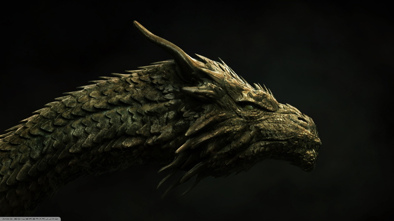 side view, animal themes, no people, bird, indoors, taxidermy, close-up, textured, black background, reptile, studio shot, animals in the wild, animal body part