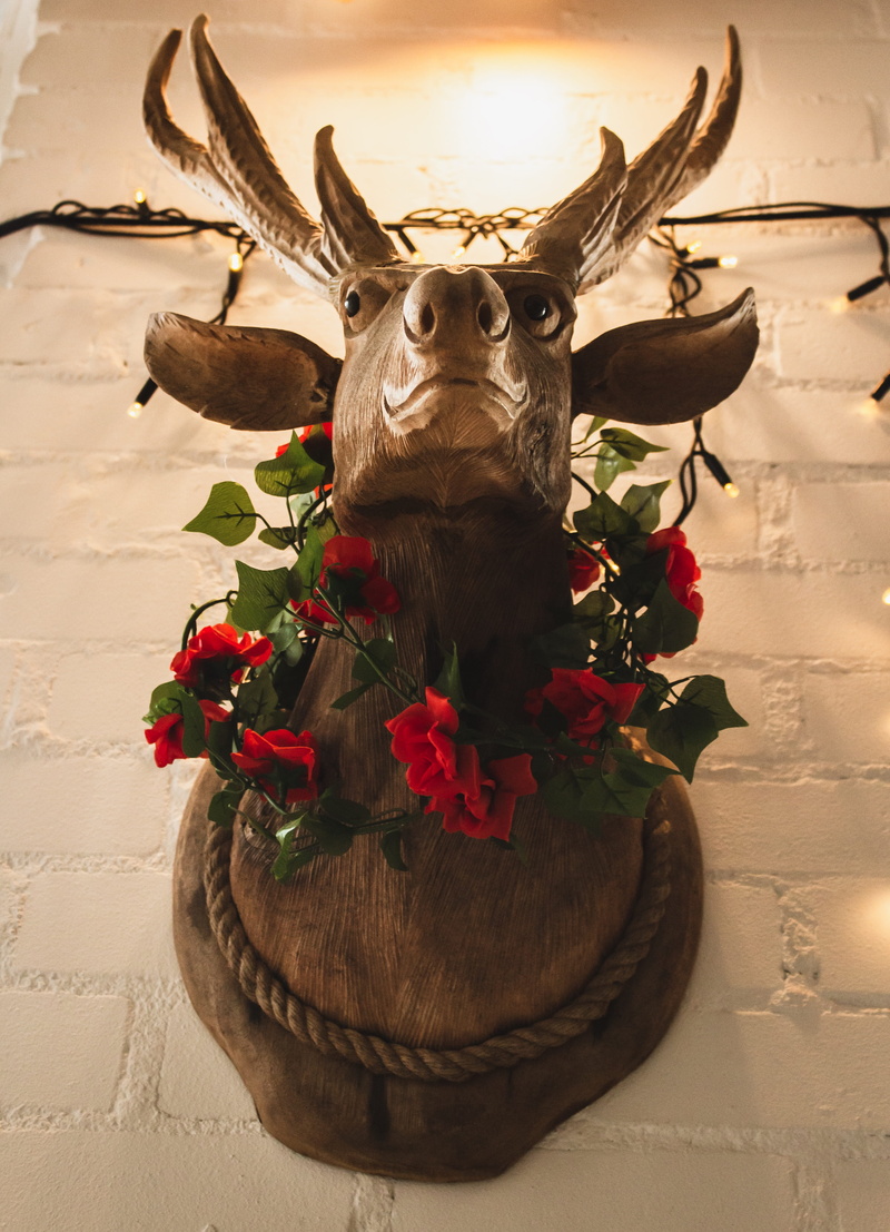 animal head, representation, close-up, horned, graphics, pattern, vase, 4K, nature, sea life, plant, creativity, indoors, animal, pottery, flower, animal themes