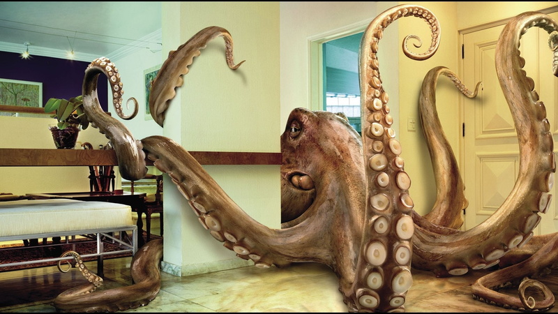 art and craft, indoors, animal representation, sculpture, animal head, Octopus, representation, animal wildlife, animal body part, creativity, museum, the past