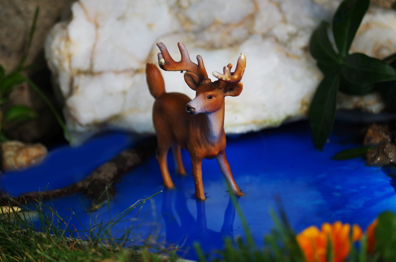 nature, representation, no people, day, herbivorous, Animal, Deer, animals in the wild, animal representation, mammal, selective focus, Still Life, water